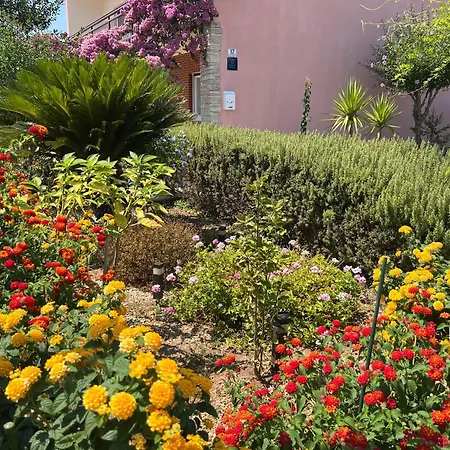 بيت للعطل Lyra تروغير