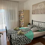 Lyra * 特罗吉尔