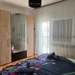 Lyra 特罗吉尔