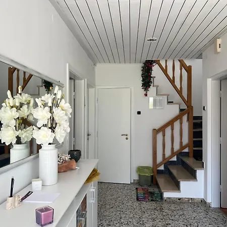 Lyra